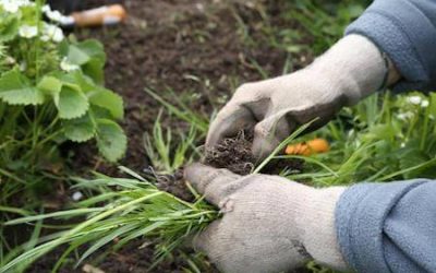 Havemand til Privat Have – Få Tilbud via 3byggetilbud.dk