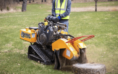 Stubfræsning, hvordan fjerner man en træstub? Få svaret her.