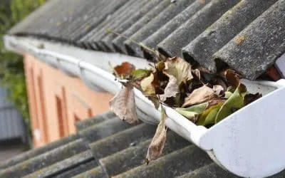 Rensning af nedløbsrør på Fyn – få vandet sikkert væk fra dit hus