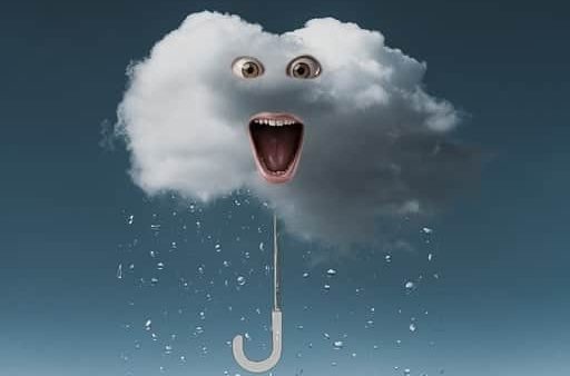 faskine:regnvandsanlæg