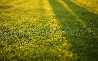 Anlæg af Græsplæne Pris – Alt hvad du behøver at vide