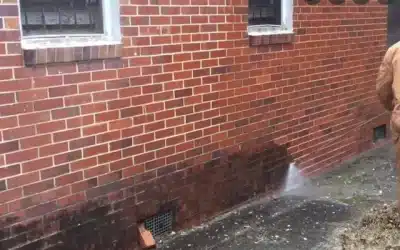 Sorte Alger på Murværk? Sådan Beskytter Du Dit Hjem