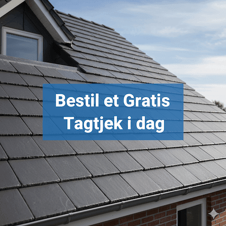 bestil gratis tagtjek i dag (1)