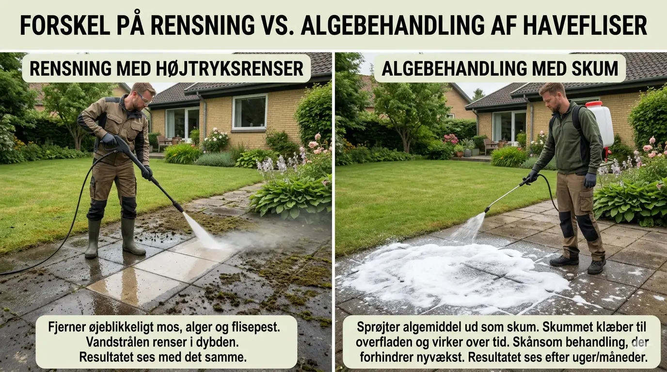 fliserens vs. algebehandling