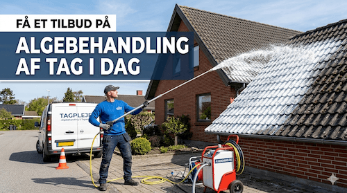 tilbud algebehandling af tag kopi