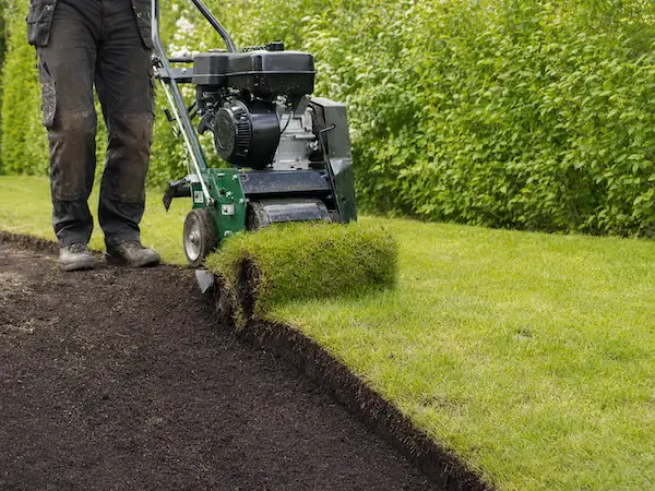 Græstørvskærer fjerner græstørv langs plænekant