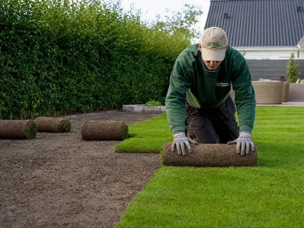 Mand lægger rullegræs i have